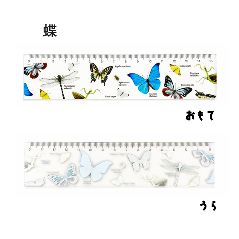 ｱｸﾘﾙ定規 昆虫 | 智光法人向けオンラインショップ（水族館、植物園等